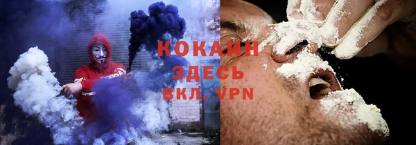 сатива Покров