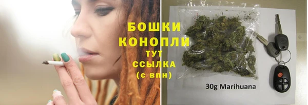 сатива Покров
