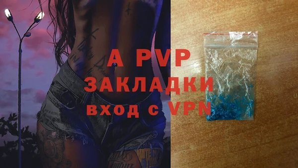 сатива Покров