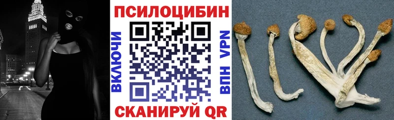 купить наркотики цена  Сокол  Псилоцибиновые грибы ЛСД 
