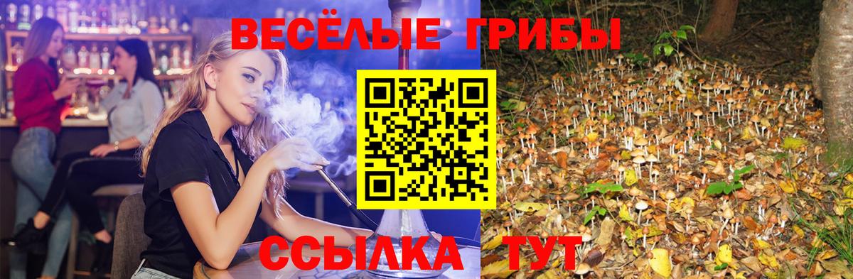 Псилоцибиновые грибы Cubensis  Вход с VPN  Сокол  Галлюциногенные грибы ЛСД 