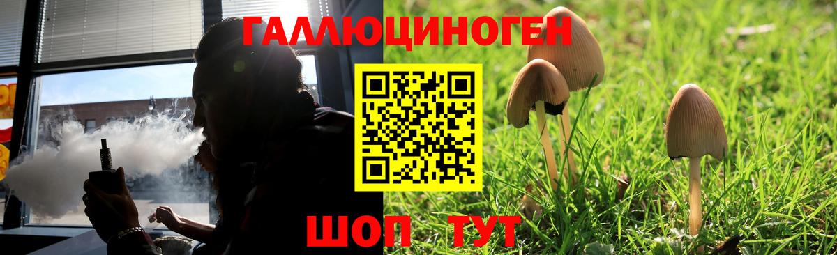 Галлюциногенные грибы Psilocybine cubensis Сокол